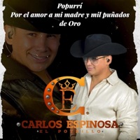 Popurrí por el Amor a mi madre y mil puñados de Oro Popurrí - Single - Carlos Espinosa
