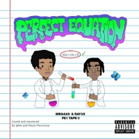 Perfect Equation (feat. mega2x!) - Ray Matix