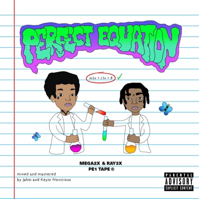 Perfect Equation (feat. mega2x!)