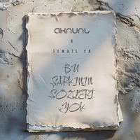 Bu Şarkının Sözleri Yok (feat. İsmail YK) - Single - AKNUNL