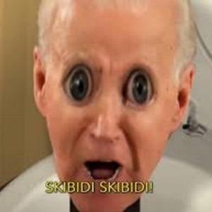 Skibidi Biden - Single