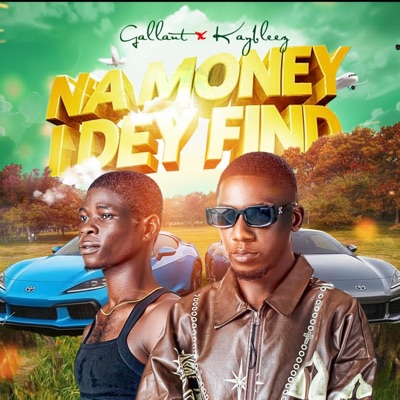 Na money i dey find (feat. kaybleez) - Single