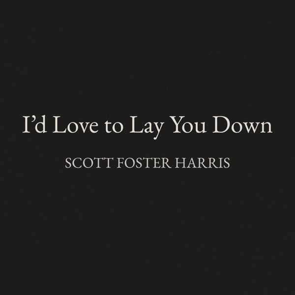 I'd Love to Lay You Down
