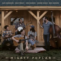 Mighty Poplar (feat. Andrew Marlin, Noam Pikelny, Chris Eldridge, Alex Hargreaves & Greg Garrison) - Mighty Poplar