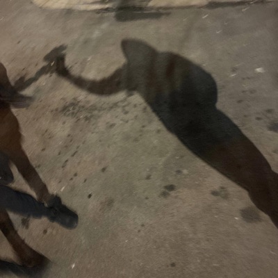 Call Fox (feat. Lil sparky & Hte Tayski) - Single