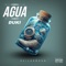AGUA (DUKI) [Special Version] - sailormoon.exe lyrics