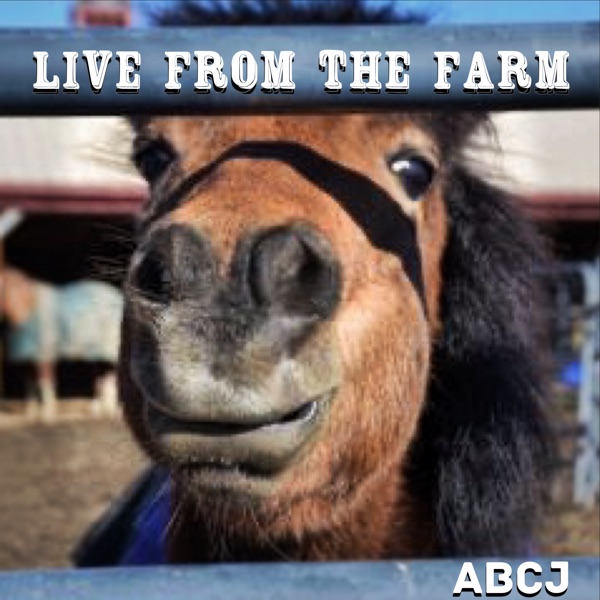 Live from the Farm (feat. Bobby Light, Tom From Work, Senor Cuerdas & Diamond Dave)