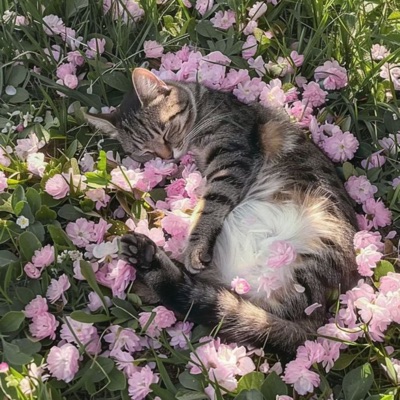 Villian (feat. leancat) - Single