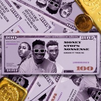 Money Stops Nonsense (feat. Twize Ng) - Single - SUNSHI9