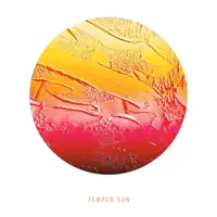 Owls — Tempus Sun