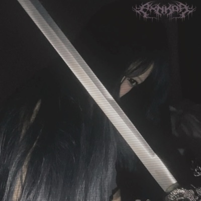 girlz + swordz (feat. PXRNSTAR) - Single