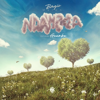 Ndampeza (feat. Gwamba) - Single