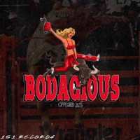 Master Of Disaster (Bodacious 2025) - Single - RockMeister & Busemannen