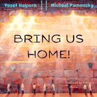 Bring Us Home (feat. Michoel Pamensky) - Single - Yosef Halpern