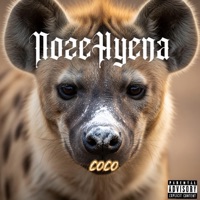 CoCo (feat. EverybodyKnowsLo) - Single - MoeRoy