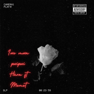 Iwe Mwa Pwipwi - Single