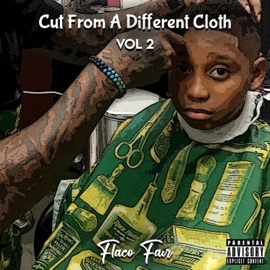 Money & Fame (feat. 4Fizzle & J-Street) Flaco Fair