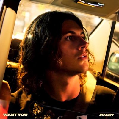 Want You - Single