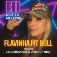 Hi Nice To Meet You - Single - DJ JUNINHO PLAY, Flavinha Pit Bull & DJ BROONYNHU