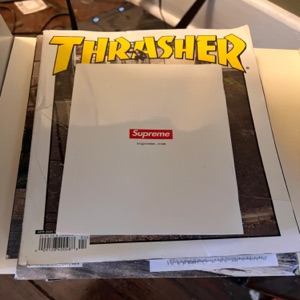 Thrasher (feat. mintedzerosix)