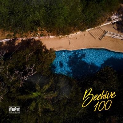 BEEHIVE 100