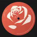 White Rose
