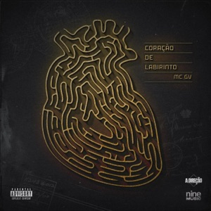 Sentimento no Deserto (feat. Mc Matheuzin & MC Vitin da VD)