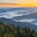 Smokey Mountain Mornins