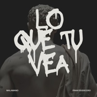 Lo que tu vea (feat. FRAN DESDECERO) - Single - Malamano