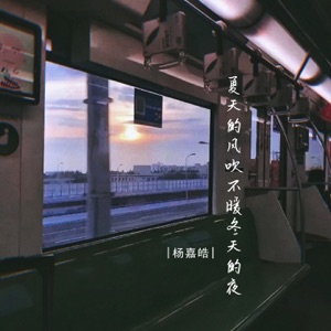 夏天的风吹不暖冬天的夜 - Single