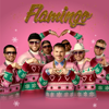 BERMUDU DIVSTURIS - FLAMINGO (feat. DJ Guano) artwork