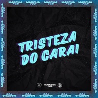 TRISTEZA DO CARAI - Single - DJ WALL