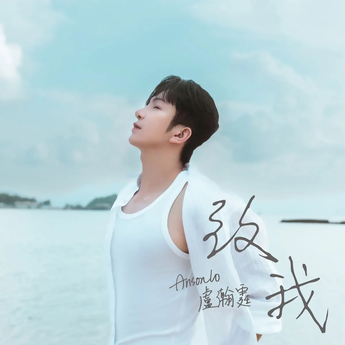 Anson Lo 盧瀚霆 - 致我 - Single (2024) [iTunes Plus AAC M4A]-新房子