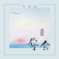 你会 - Single - 李发发