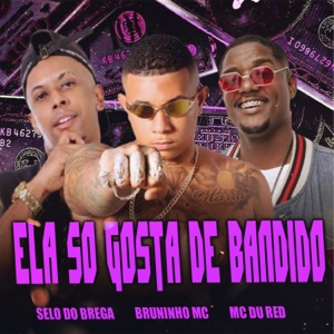Ela Só Gosta de Bandido