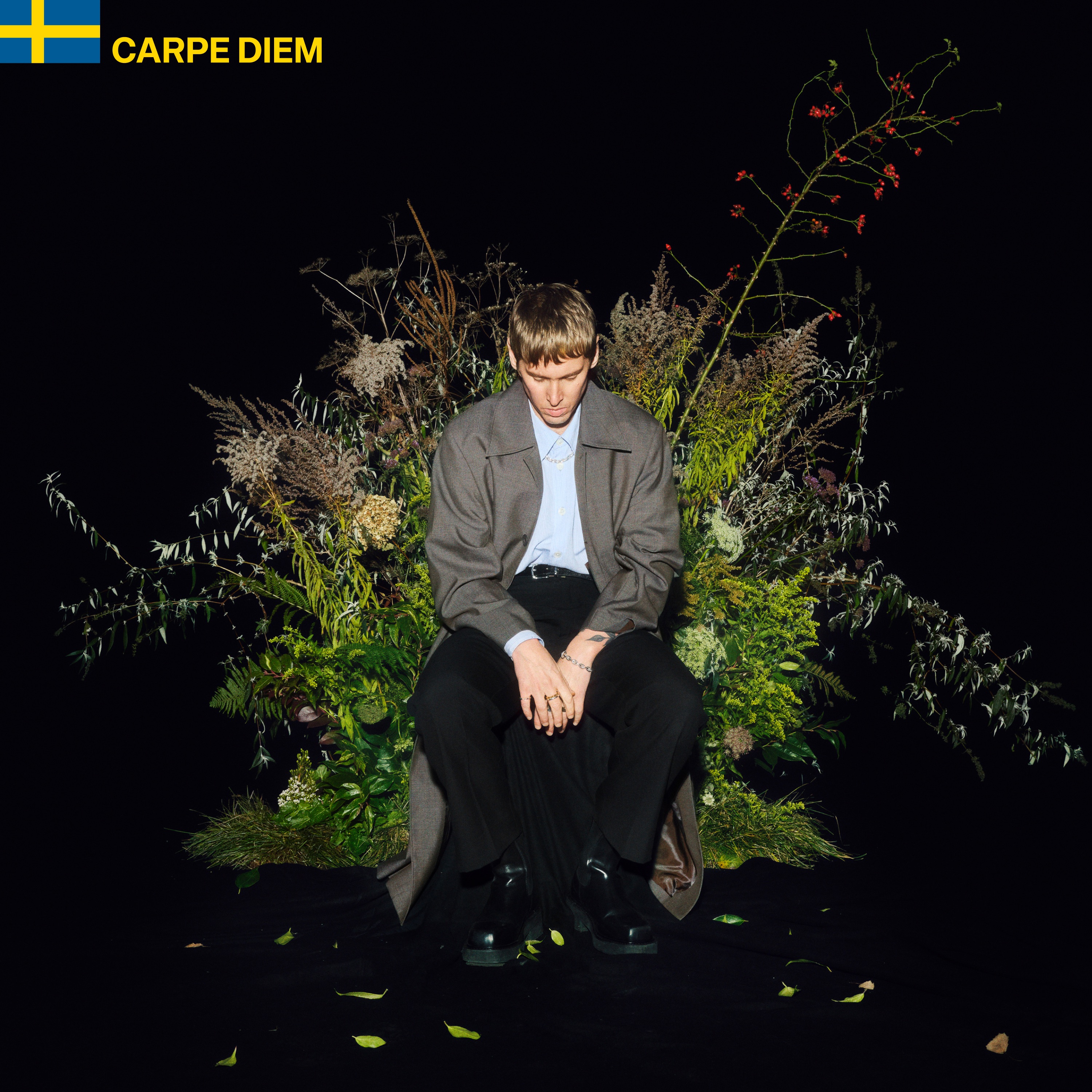 Thomas Stenström - Carpe Diem (2025)