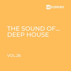 Until I Disappear (Extended Mix)