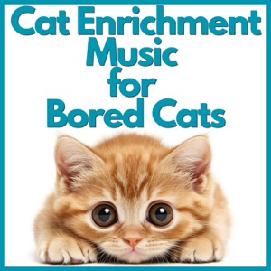 Cat Enrichment Music for Bored Cats