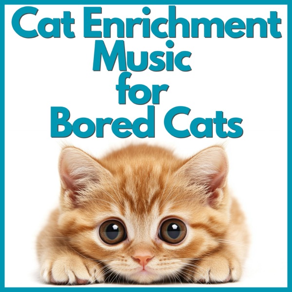Cat Enrichment Music for Bored Cats