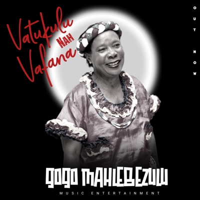 Vatukulu Na Vafana (Special Version) [feat. Y CREP & Dr Makhepula] - Single