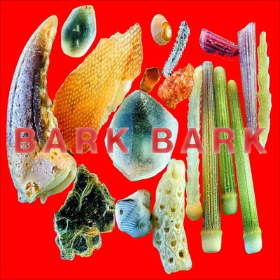 BARK BARK - EP