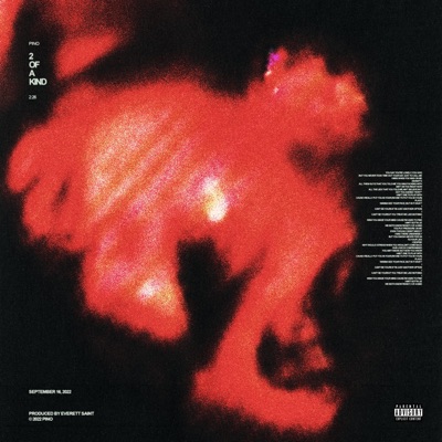 2 Of a Kind - Single