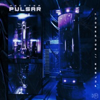Pulsar - Single - Hechter