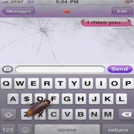 MAI SPUNE-MI INC-ODATA (original) Angus, donni, antown & Zoro Swagbag