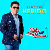 Corazón Herido — Zafiro Sensual