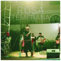 Rosa Temprana — Ronald Arteaga