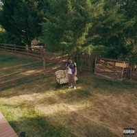 IDC - Single - Fridaysover