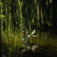 Groundhog Day - Single - H3x