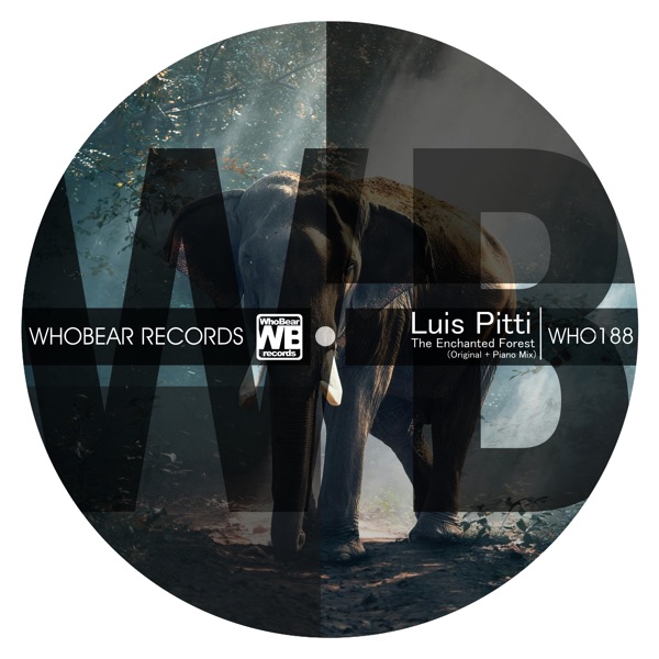 The Enchanted Forest - Single