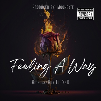 Feeling a Way (feat. YKD) - Single